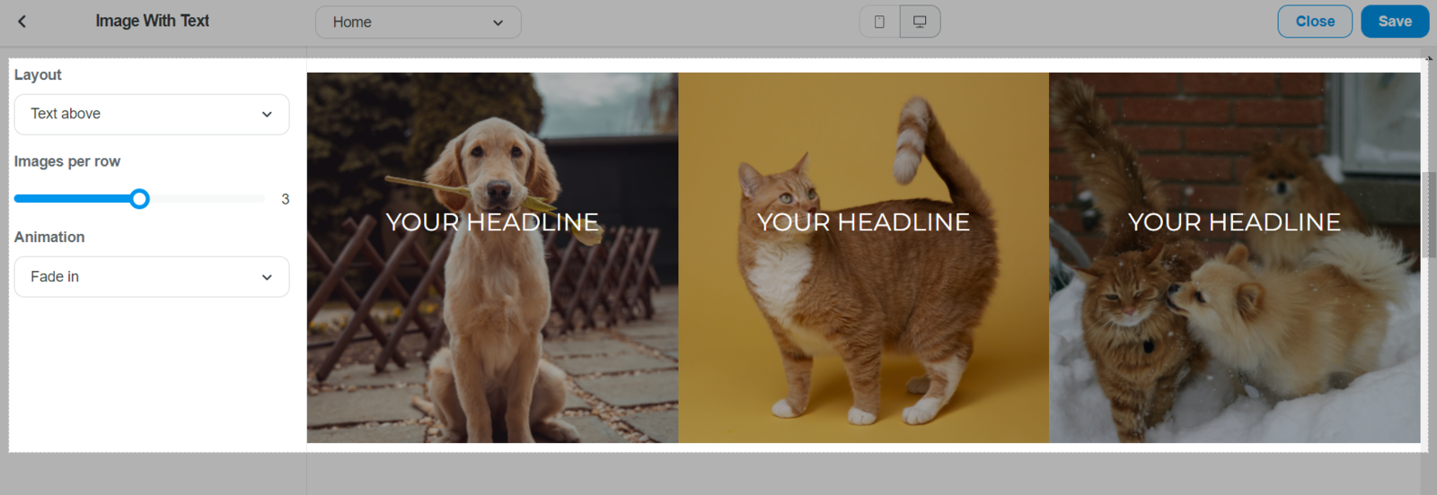 Image with Text section in Roller theme