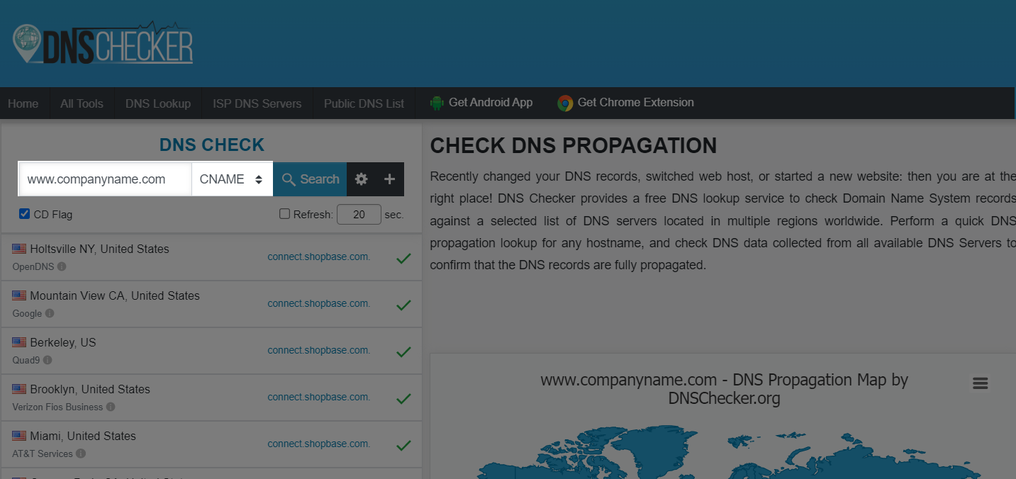 Enter your domain name (with www) to check your CNAME record