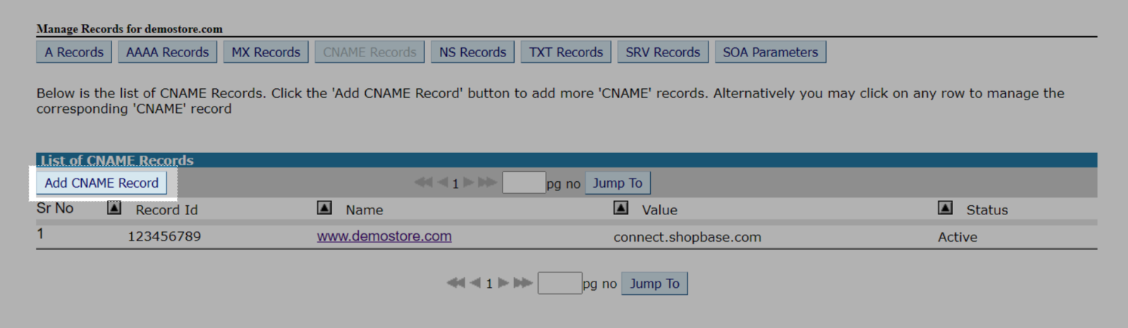 Click 'Add CNAME Record'